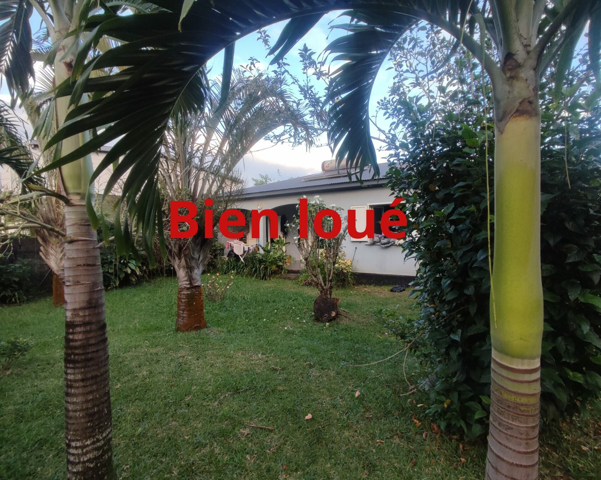 Vide 1 Panneau Paysage Bande dessinée