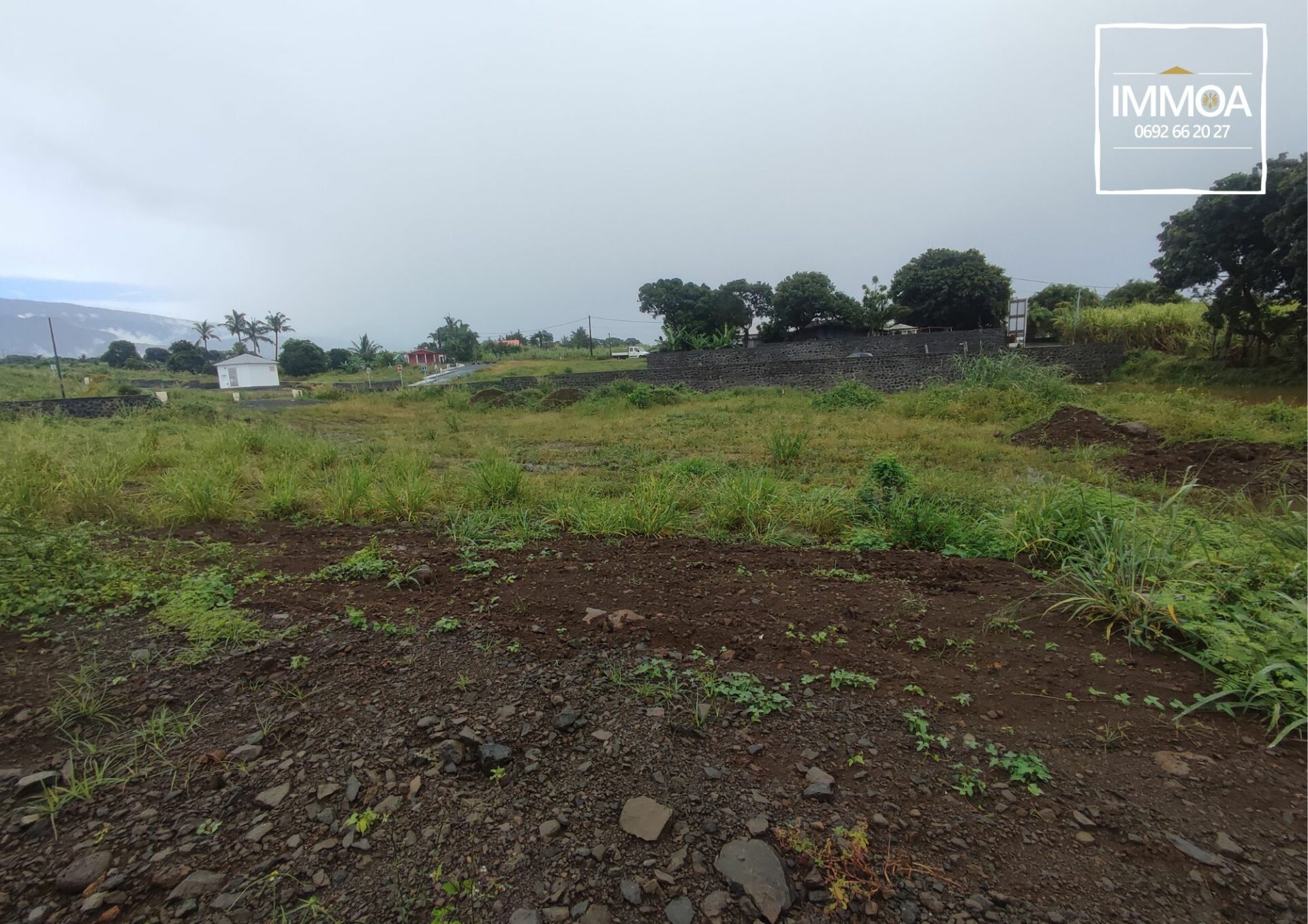 terrain
