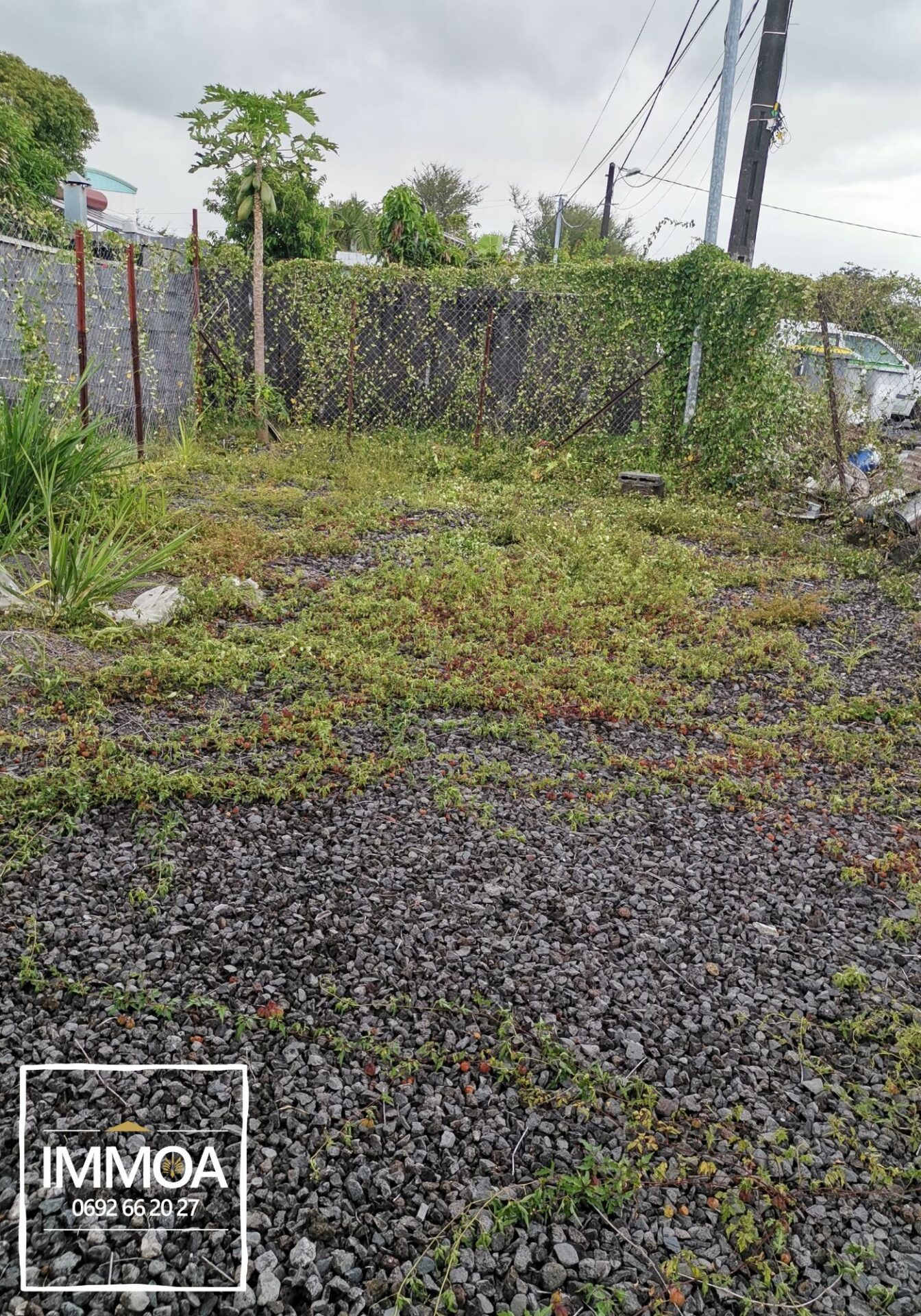 xr:d:DAFrzNKK_ZA:53,j:3459182246291257783,t:24020512